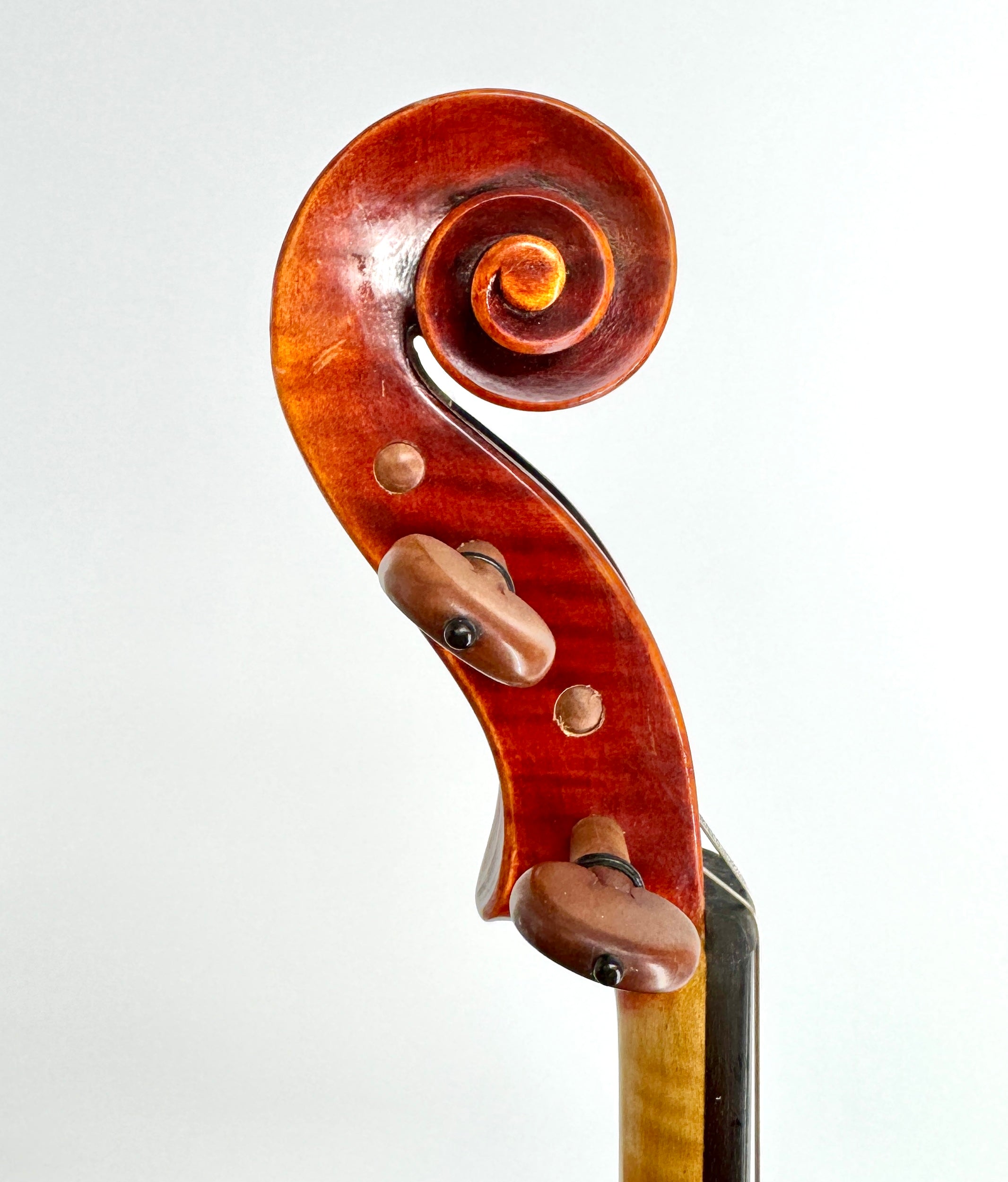 Vittori Rossi 17”