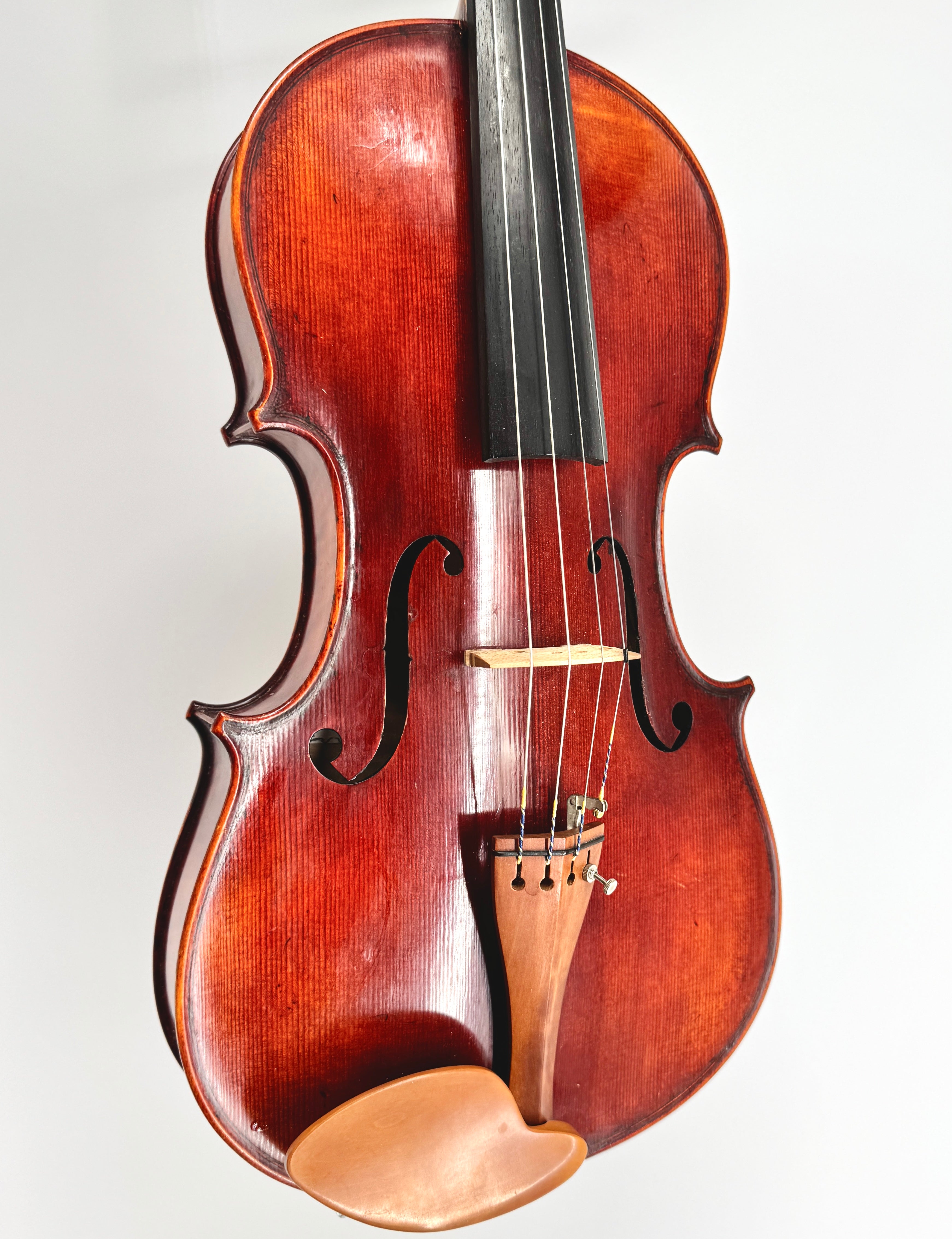 Vittori Rossi 17”
