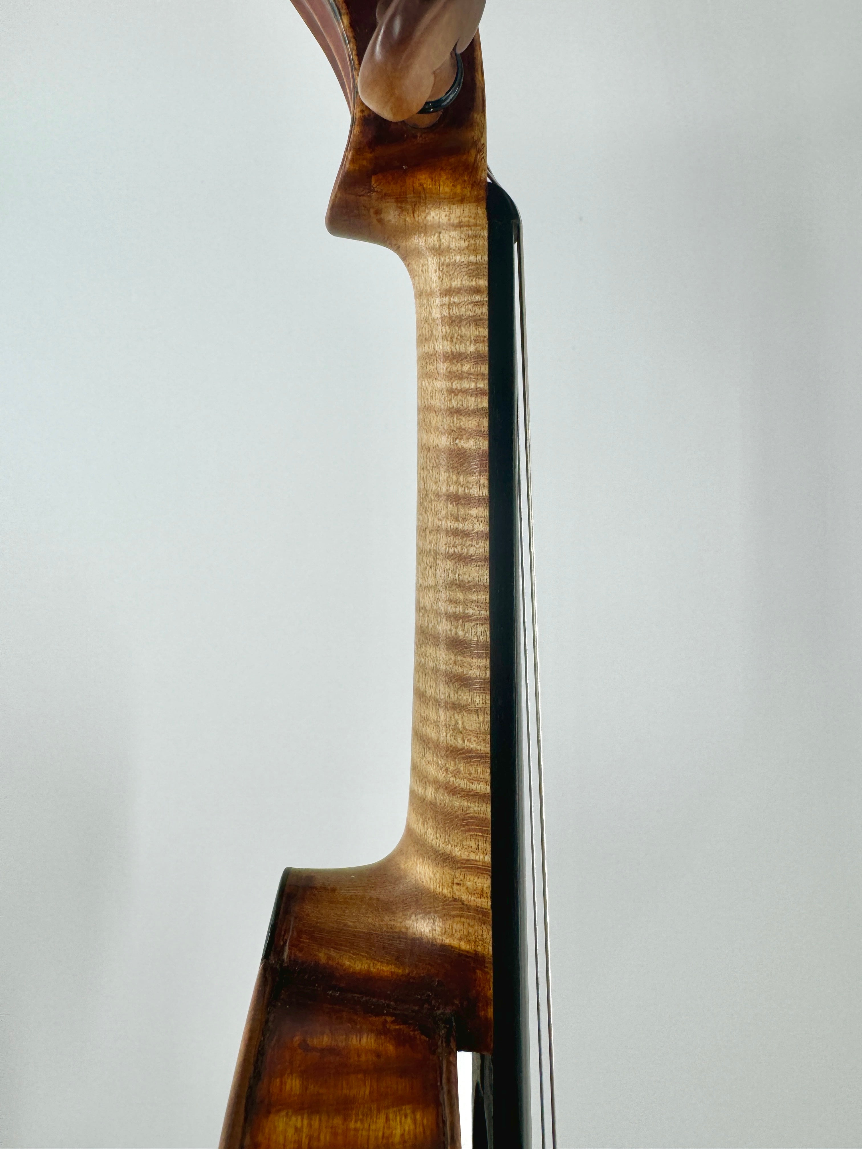 Antonio Stradivari, Cremona, 1737, the 'McKay'