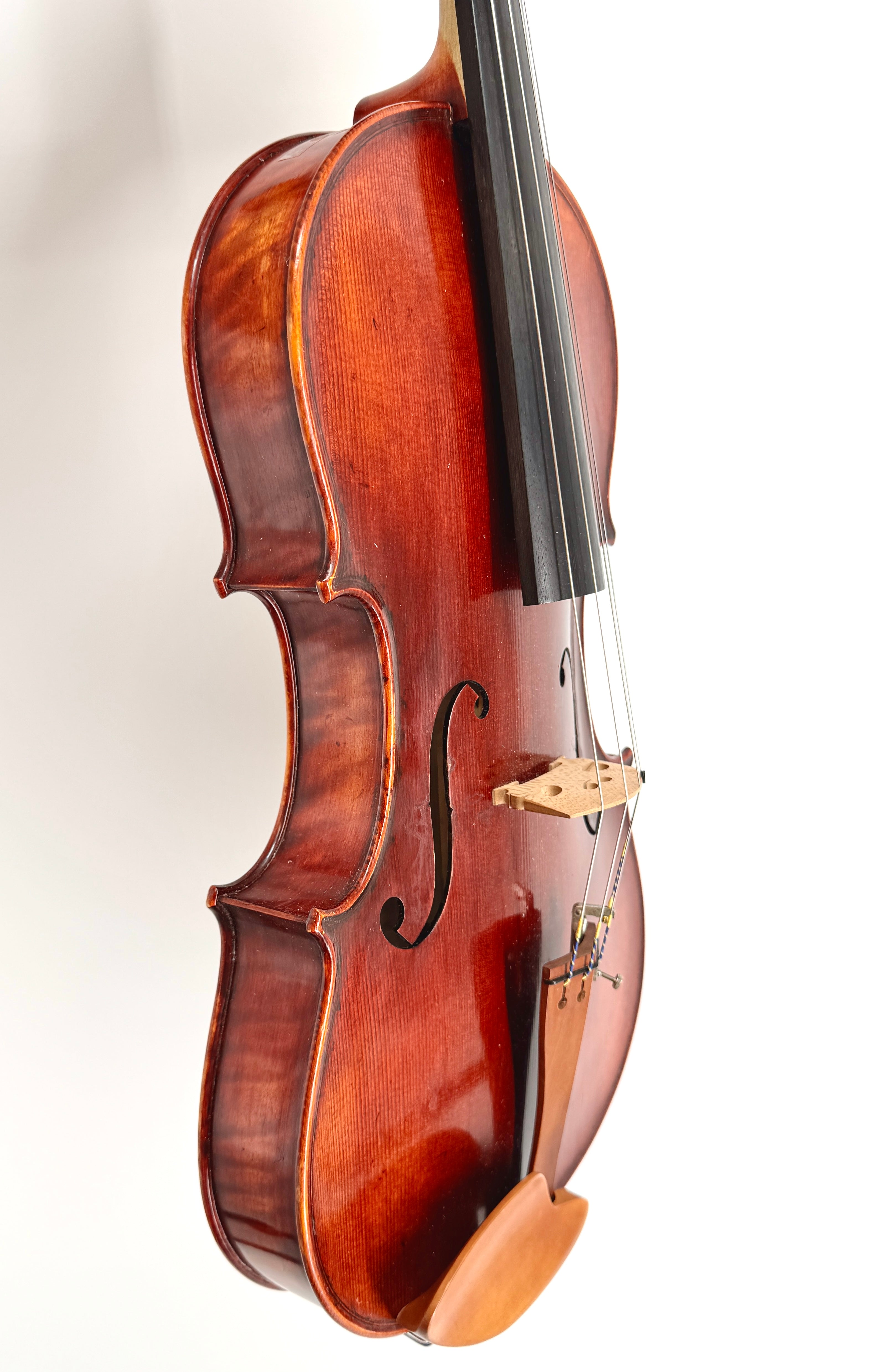 Vittori Rossi 17”