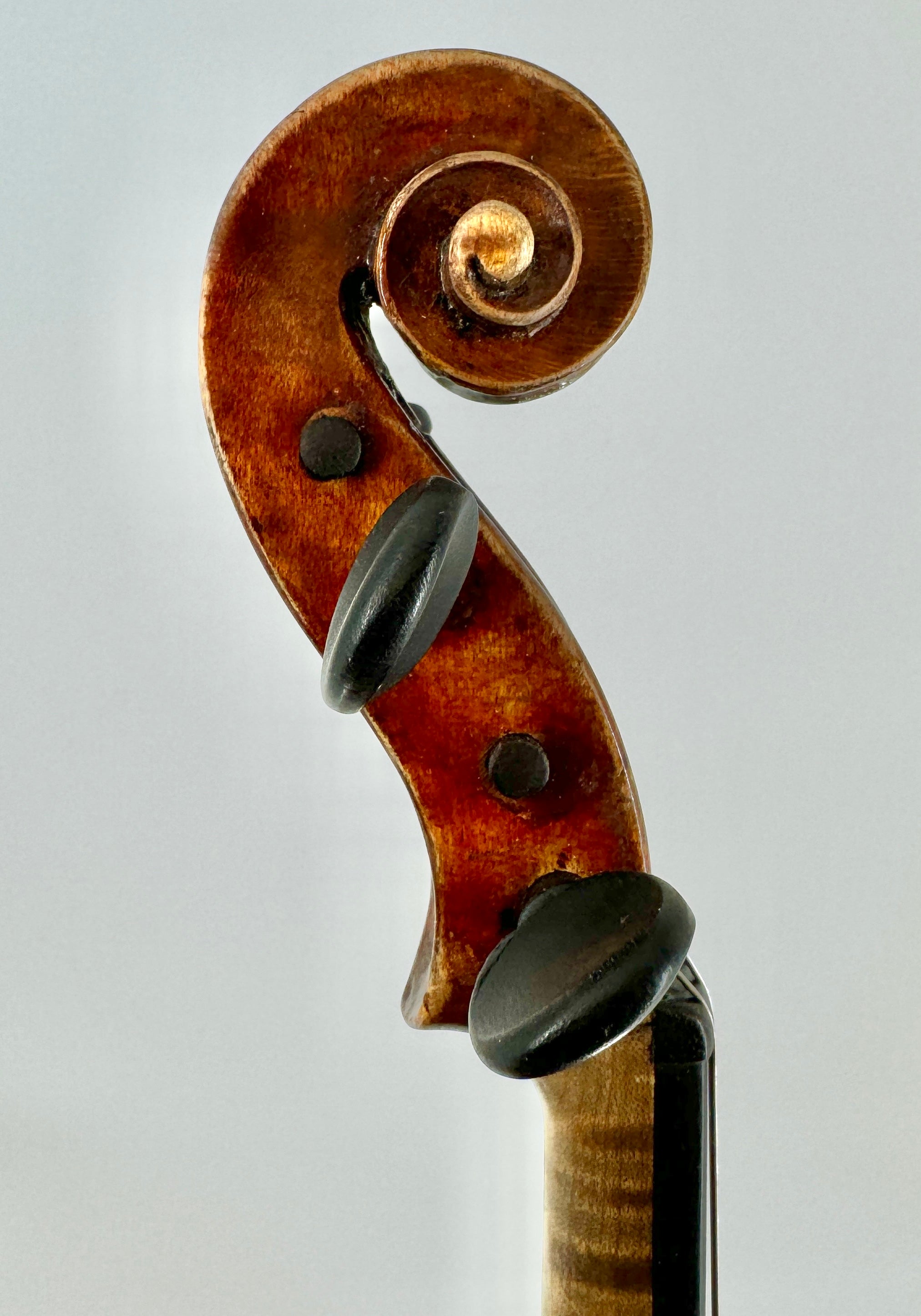French Violin, Labeled "Nicolas Lupot, Orleans, 1774"
