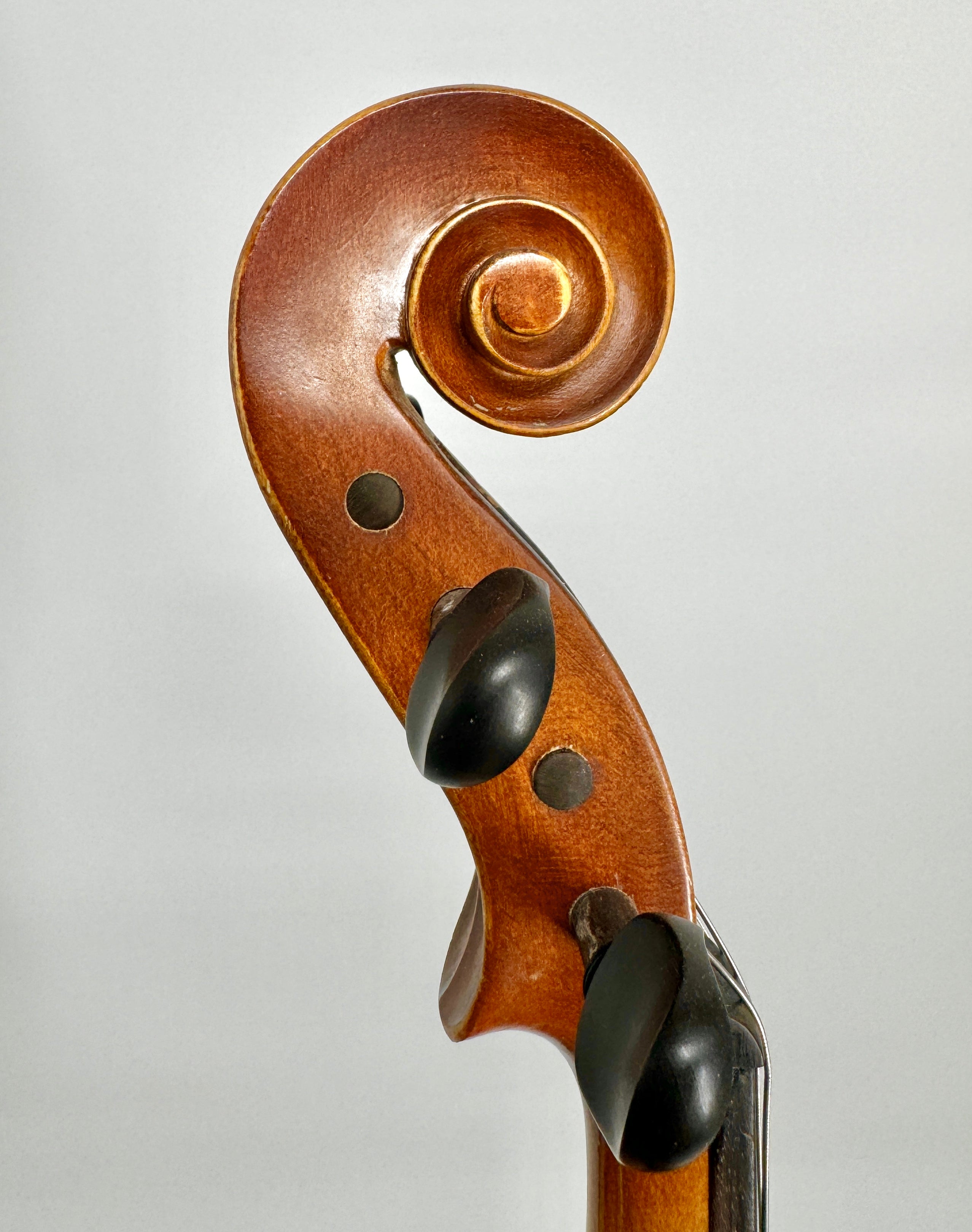 Helmke 16”