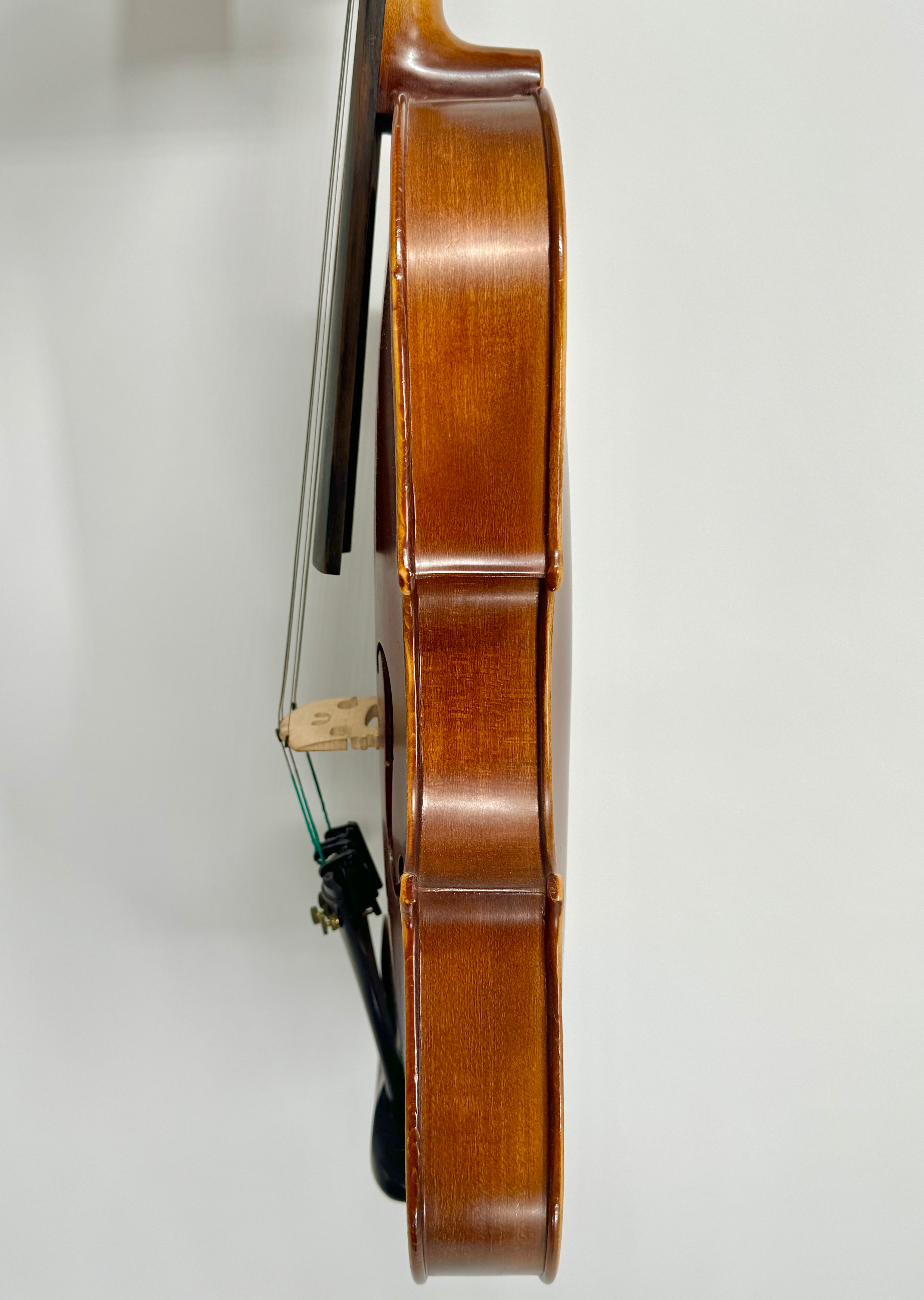Helmke 16”