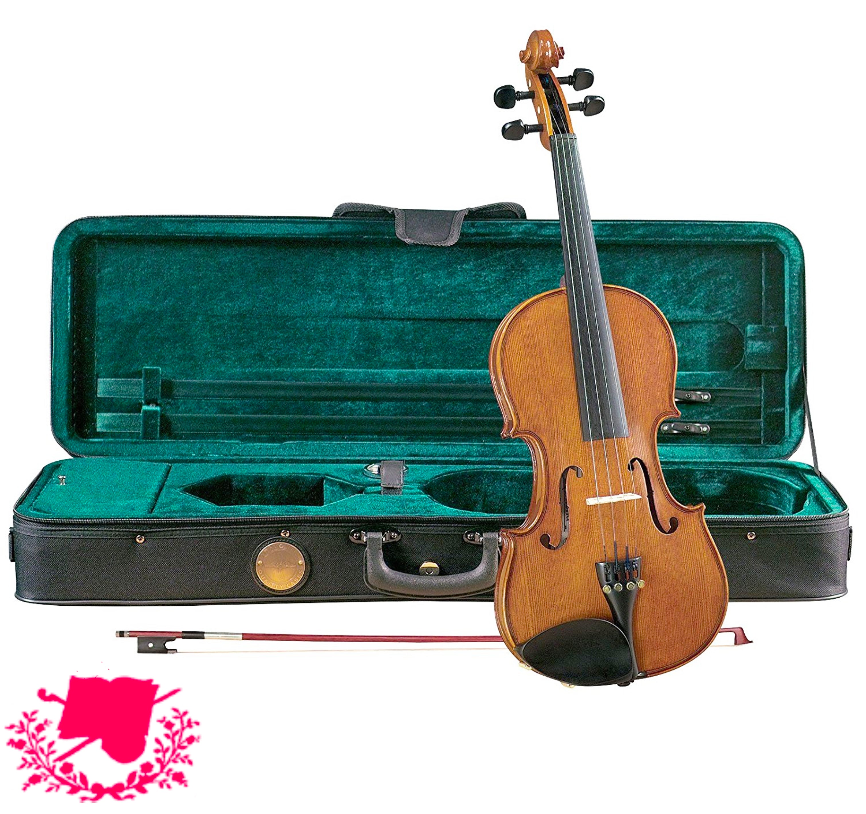 Viola Rental