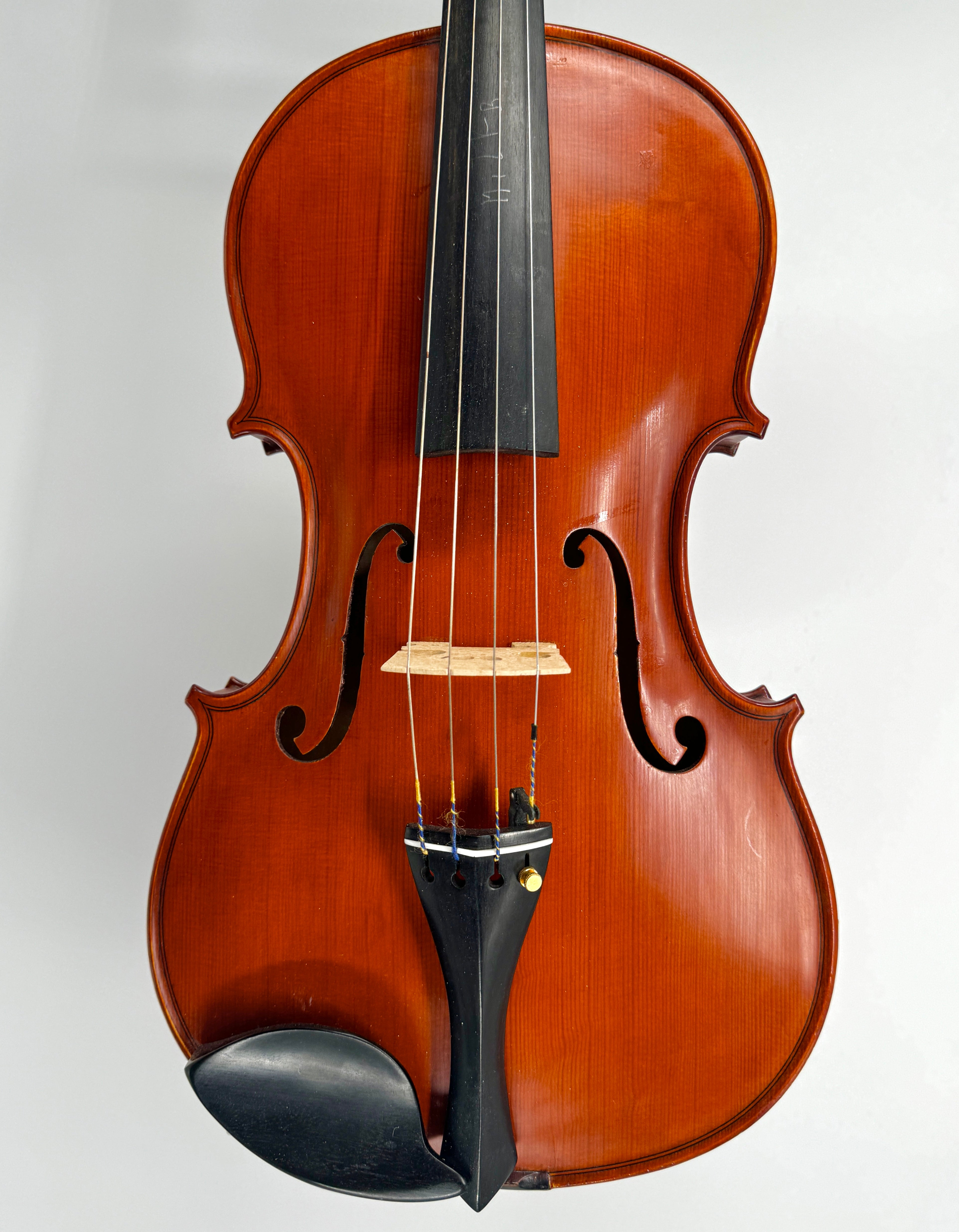 Giovanni Pagani 16.5”
