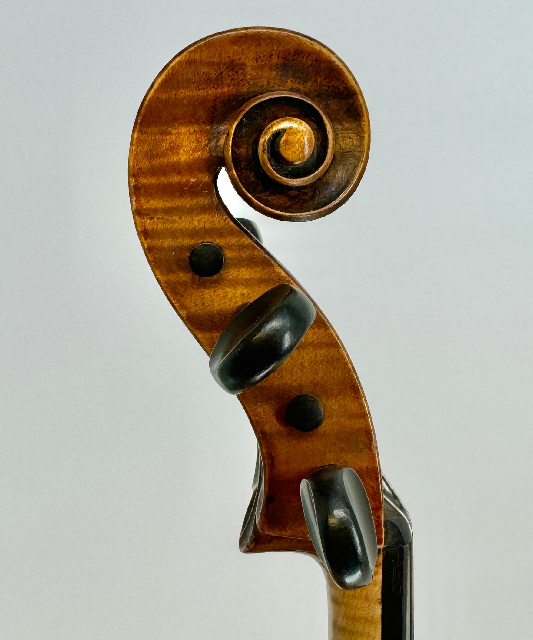 Julius Heberlein 16”